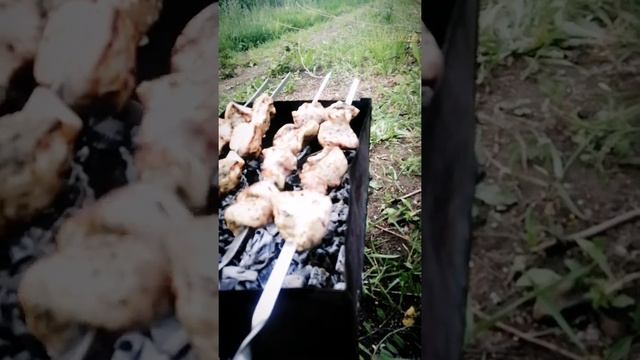 Шашлыки на р.Стерле.Стерлитамак. смотреть онлайн