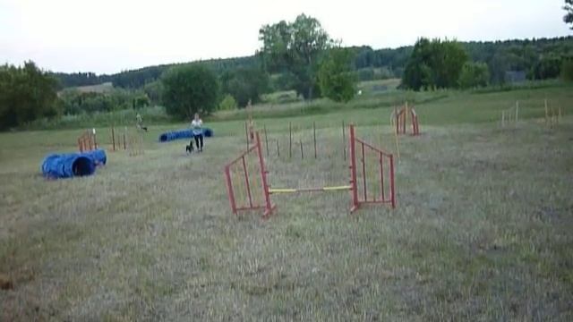 Даша и Багги трасса смотреть онлайн