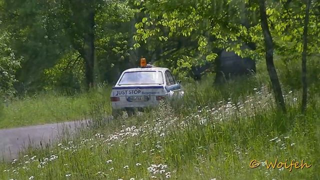 Best of Ford Escort Mk2 in Rallying 2012 - 2020 смотреть онлайн