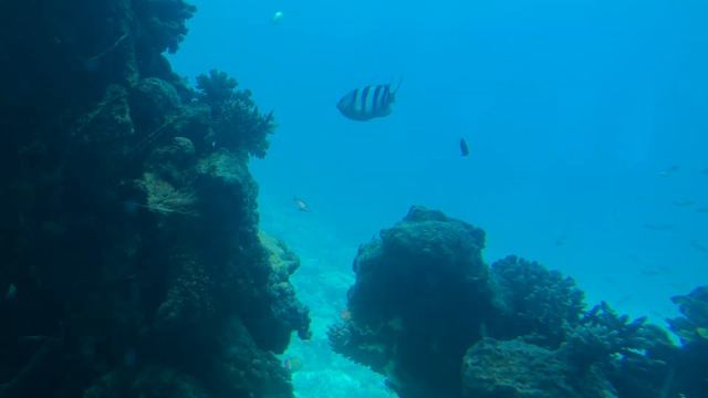 Поездка в Эйлат. День тринадцатый (12 апреля 2019/24): Подводная обсерватория смотреть онлайн