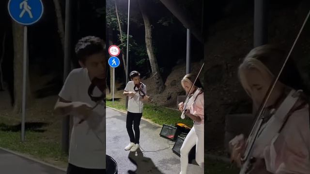 🎧 Районы Кварталы (violin cover by DELEON) #звери #скрипка #скрипкаалматы #арбаталматы смотреть онлайн