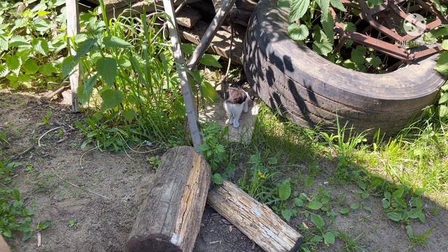 Урок верховой езды. смотреть онлайн