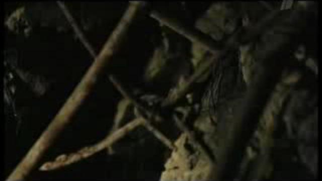 "Великая финская стена". Часть 4. смотреть онлайн