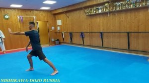 Вадо-рю каратэ ката Нисейси (məşqi)