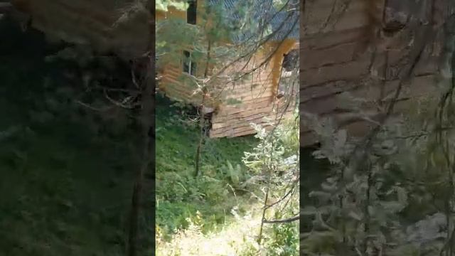 "Усадьба Бабы Яги" турбаза оз.Телецкое Артыбаш Горный Алтай смотреть онлайн