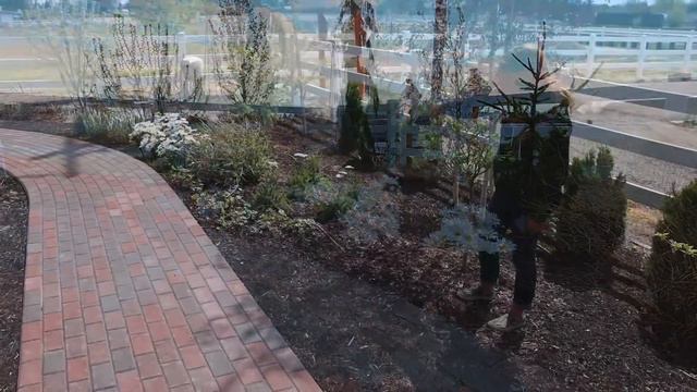 A New Plant for the Moon Garden--Glow Girl Spirea! смотреть онлайн