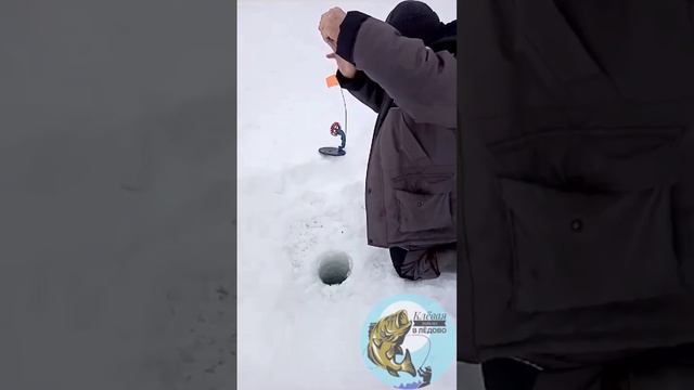 Клёвая рыбалка в Лёдово смотреть онлайн