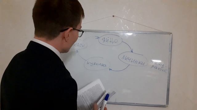 Строительный Анализ