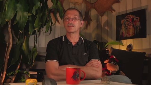 Лето, бабочки? А гусенички? смотреть онлайн