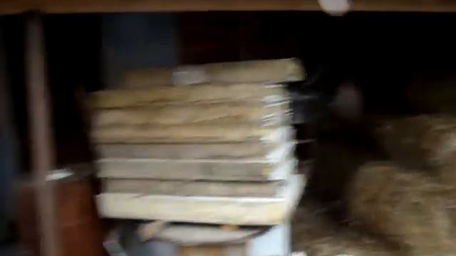 Навес для сена, опила,дров и живности. S=75 м2//своими руками//Сельское подворье//Россия// смотреть онлайн