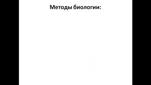 Что такое "биология?" Биология как наука. Ее роль в формировании естественнонаучной картины мира. смотреть онлайн