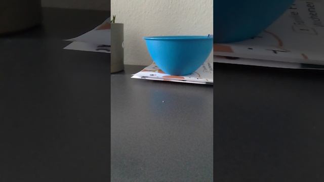 я поставил скрытую камеру на осьминожки куда она пойдёт