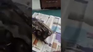 Как отделить стекло от фары.