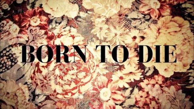 Born to Die by Lana Del Rey Acoustic Cover смотреть онлайн