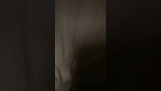 Firing the Nerf X Roblox MM2 Shark Seeker смотреть онлайн