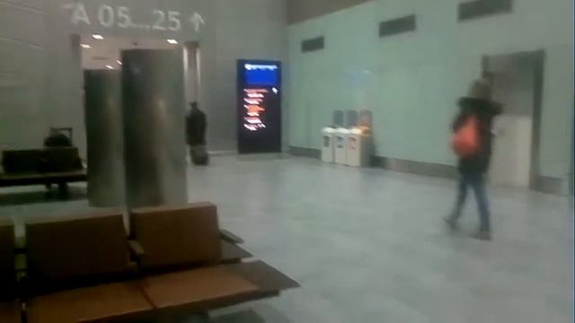 Тревога в новом терминале "Пулково-1" 19.01.2014 смотреть онлайн