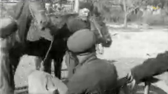 Полно вам, снежочки! / Caucasian Cossacks' Dance смотреть онлайн