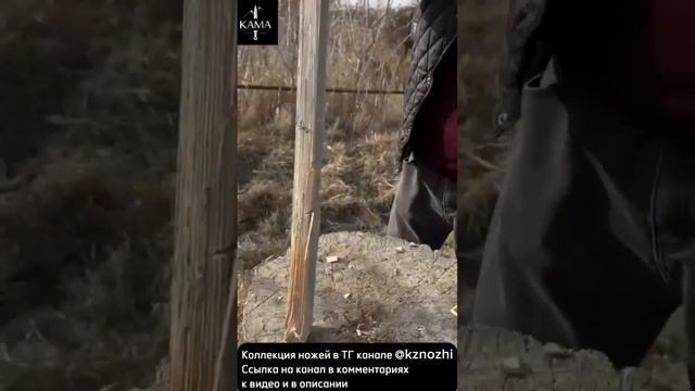 Ножи на каждый день: тест на прочность и устойчивость #тест #обзор #нож #смешноевидео#дамасскаястал смотреть онлайн