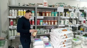 Первые подкормки клубники