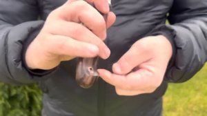 Ножи из стали CPR - Обзор с ценами | Выставка продажа