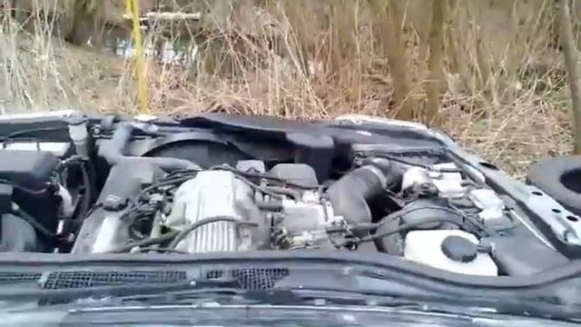 завели половинку краун маджеста. смотреть онлайн