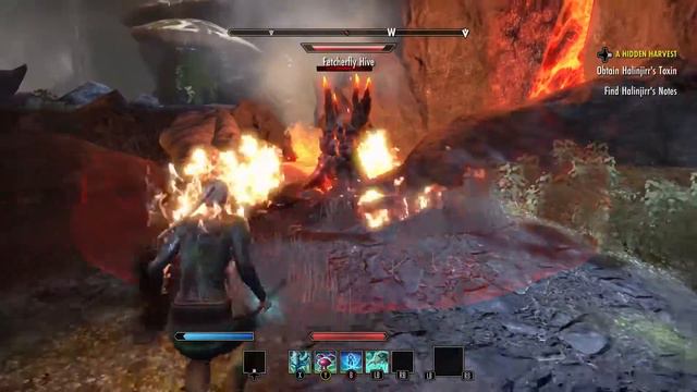 Elder Scrolls Online Morrowind Gameplay | Vvardenfell Questing! #2 смотреть онлайн
