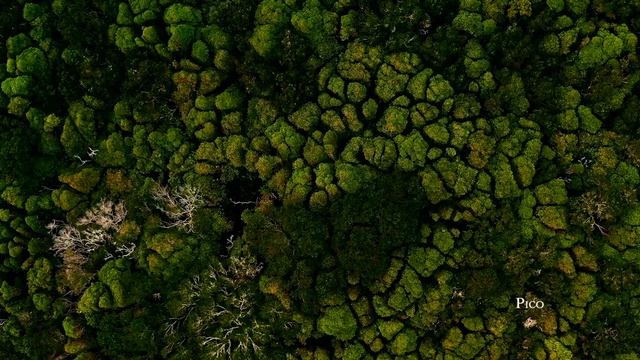 Путешествия на волнах музыки. Острова Азоры смотреть онлайн