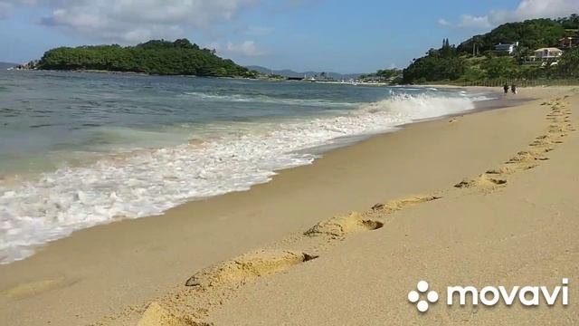 Приятная музыка (на флейте)!!!