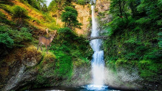 Видеофоны!!! Видеофон Водопад Горный ручей!!! Футаж для клипов и видео! смотреть онлайн