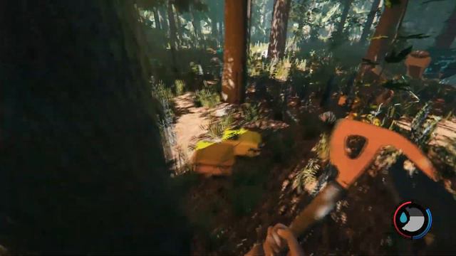 THE FOREST ПРОХОЖДЕНИЕ 1//ВСТРЕЧА С ТУЗЕМЦАМИ смотреть онлайн