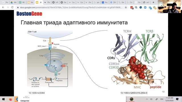 Семестр 2. Лекция 15 смотреть онлайн
