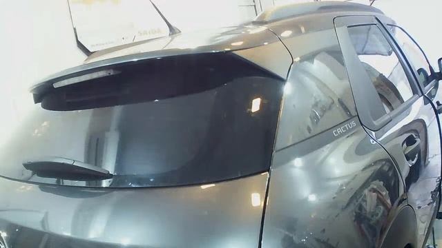 #cactus #insulfilm insulfilm #aovivo #leituradetarot #boanoite #conhecimento смотреть онлайн