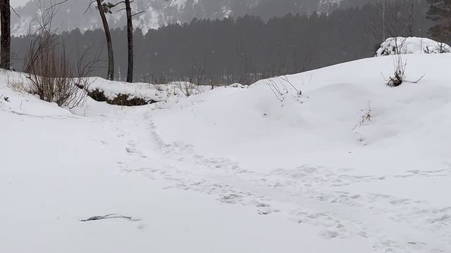 Чуйский тракт зимой (горный Алтай) смотреть онлайн