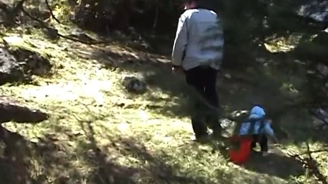 Кому грибы, а кому шишки.mpg смотреть онлайн