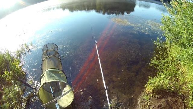 Херабуна .Карась на РОЛЛТОН (эксперимент)+обзор удочки Hai Zhan(soft) смотреть онлайн