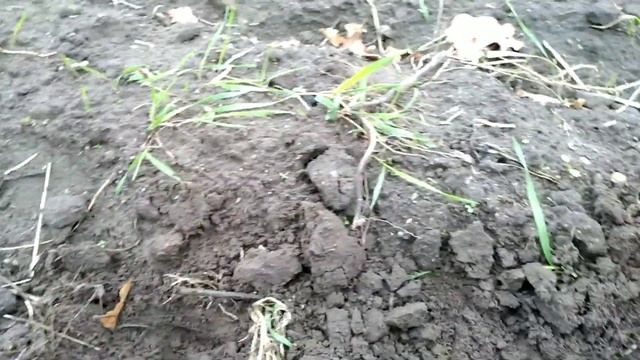 Квазар АРМ. Прошивка 2.6.5. Впечатления. Реальный полевой тест. смотреть онлайн