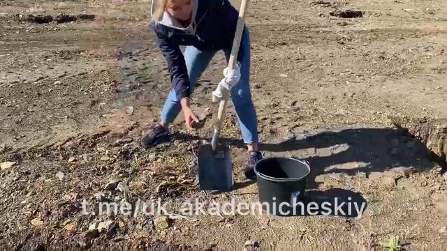 Время собирать камни