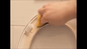 Как очистить пожелтевшее сиденье унитаза,  ? чтобы ОНО СНОВА стало БЕЛЫМ ?