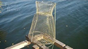 Мой выбор крутой садок для любительской рыбалки