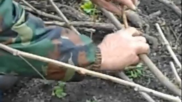 Укрытие винограда на зиму. смотреть онлайн