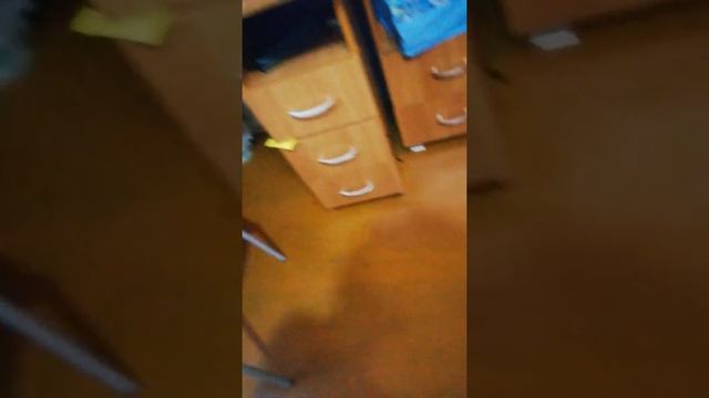 называется оставила на 1 день💖😹 смотреть онлайн