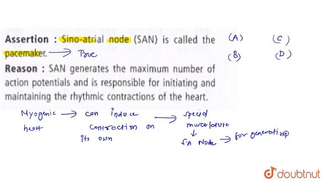 Assertion : Sino-atrial node (SAN) is called the pacemaker Reason : SAN смотреть онлайн