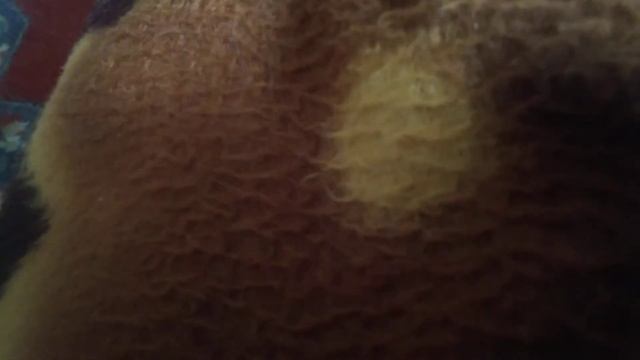 Акуна макака какает