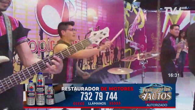 GARDENIA TR24 смотреть онлайн