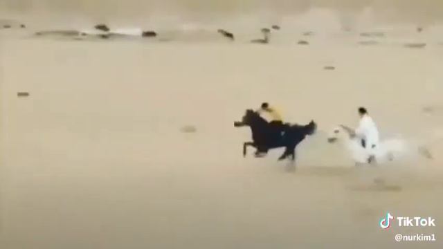 Чёрный лошадь смотреть онлайн