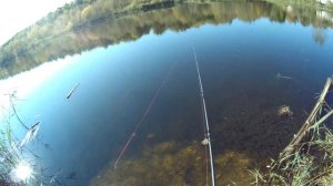 ЛУЧШИЙ КАСТИНГ и МУЛЬТИПЛИКАТОР на ЩУКУ в 2023 !? CADENCE VIGOR. Обзор, рыбалка и твитчинг воблеров