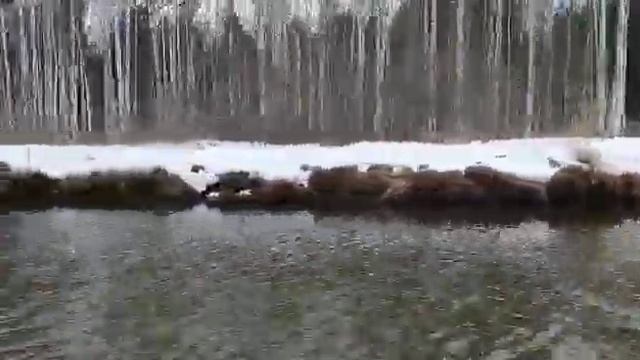 флагман 380 сузуки 9.9(15), винт 10, загрузка 360 кг, 28 км/ч смотреть онлайн