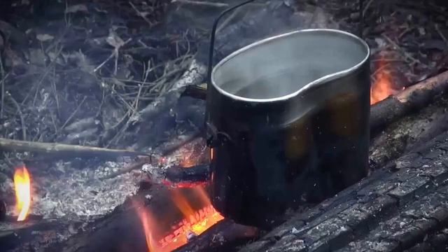 Сюжет про курс 