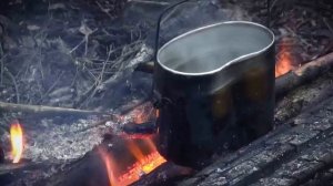 Сюжет про курс "Наука Выживать" на канале Наука 2.0