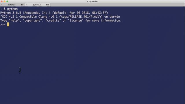 Python 3 - Variables смотреть онлайн